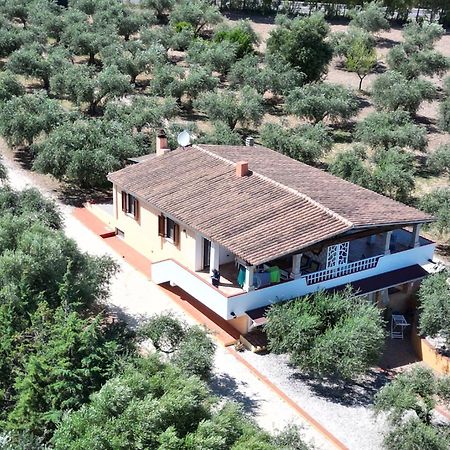 Apartmán Rustico Degli Ulivi Orosei Exteriér fotografie