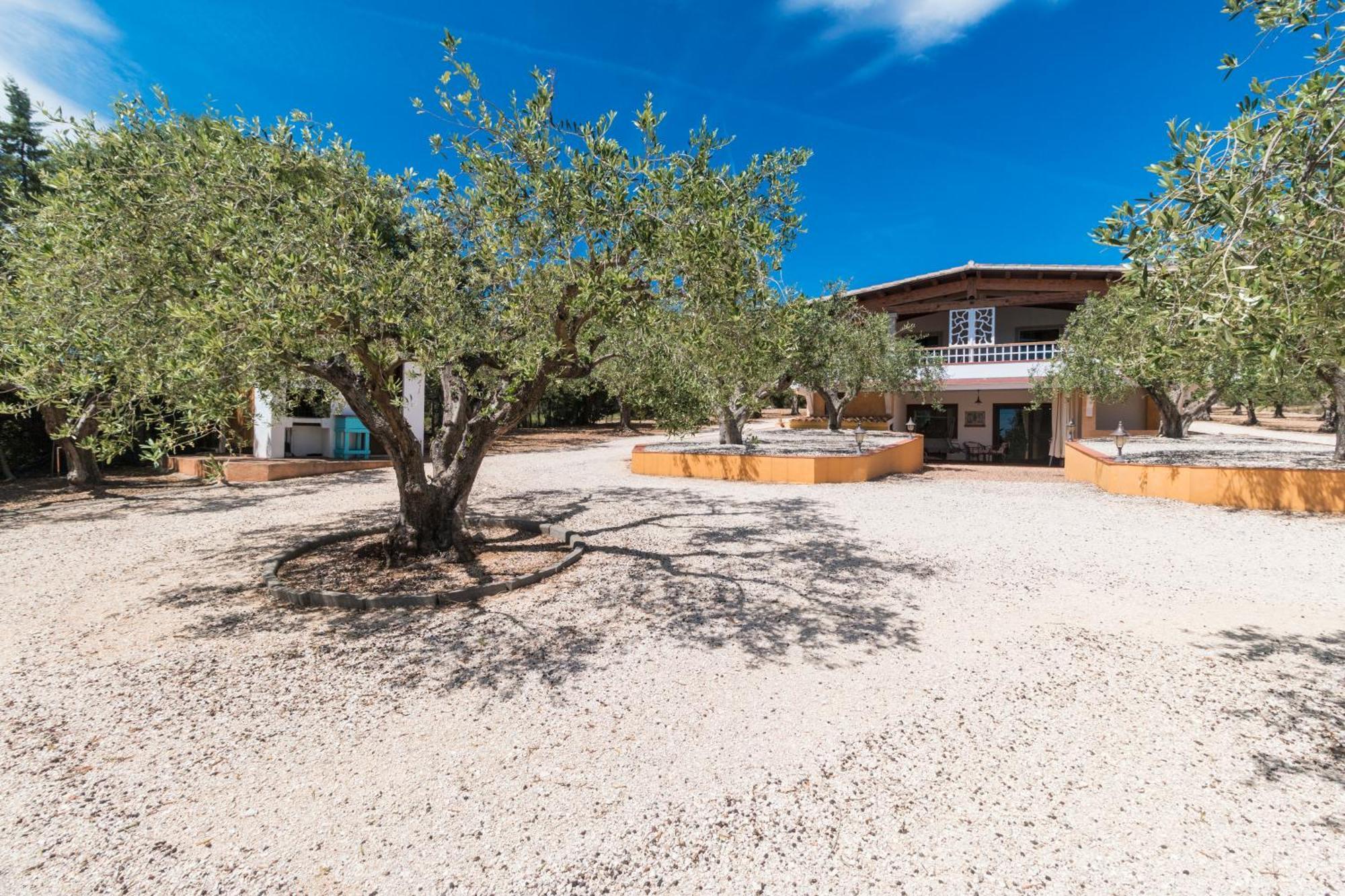 Apartmán Rustico Degli Ulivi Orosei Exteriér fotografie