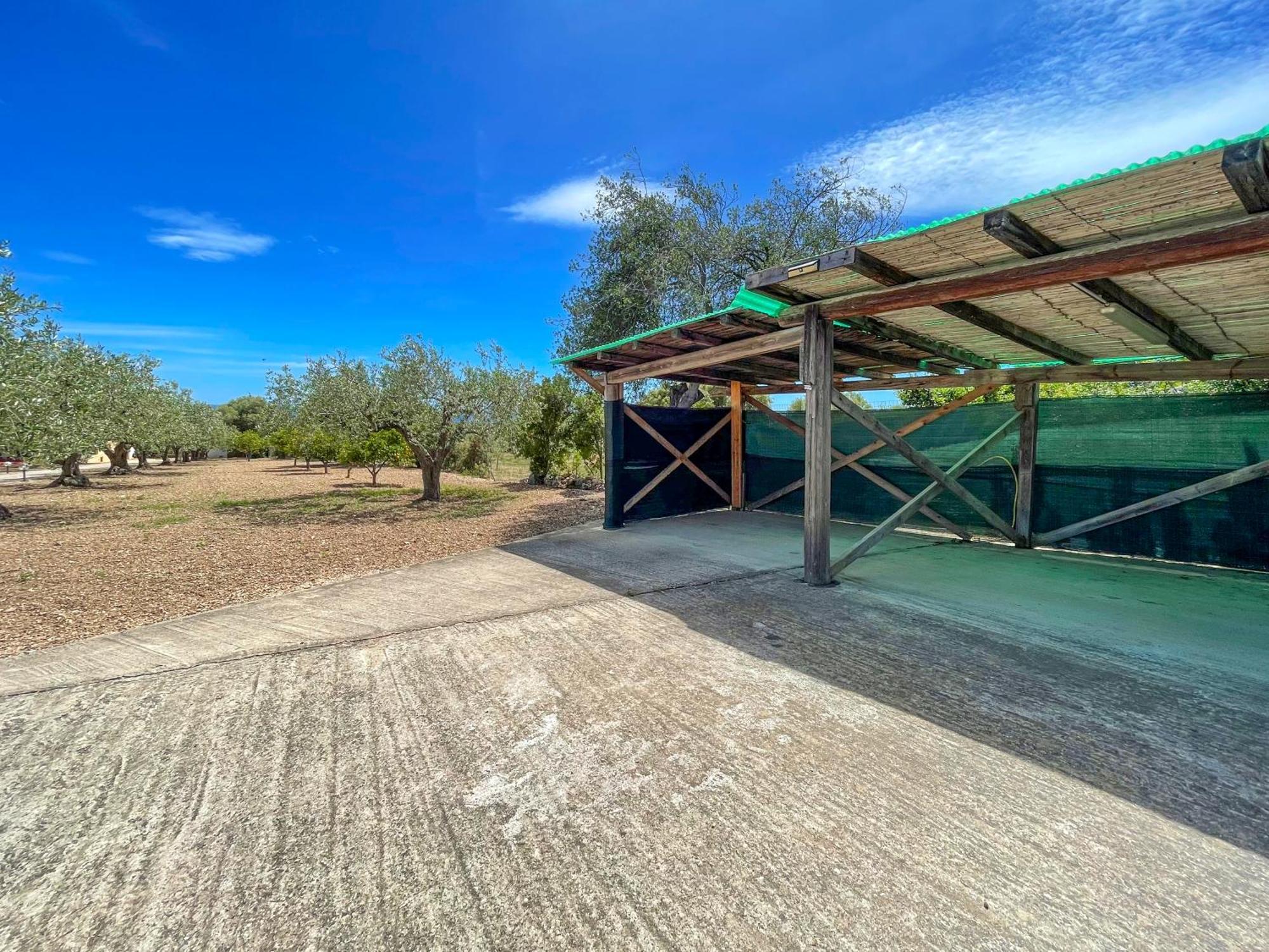 Apartmán Rustico Degli Ulivi Orosei Exteriér fotografie