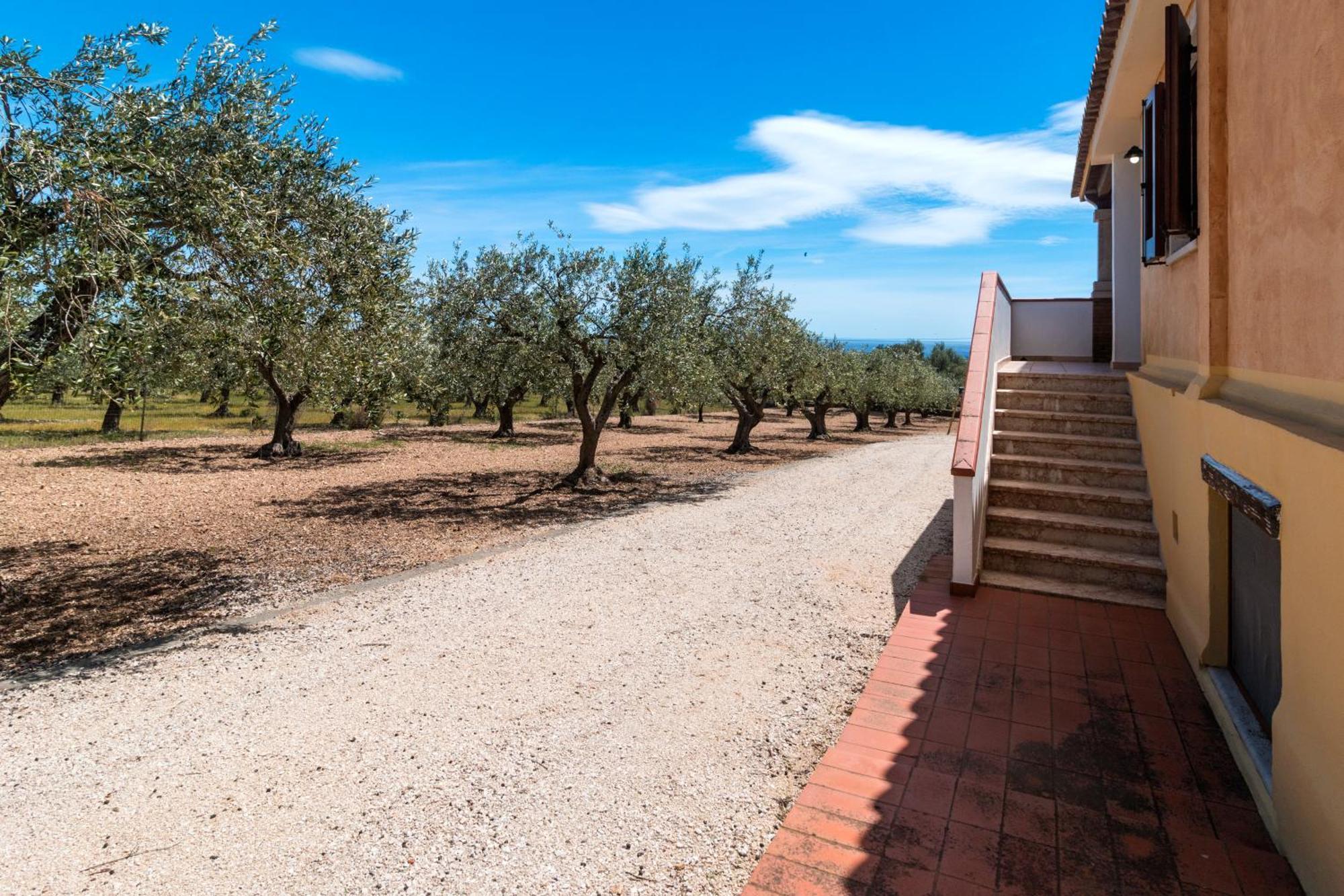 Apartmán Rustico Degli Ulivi Orosei Exteriér fotografie